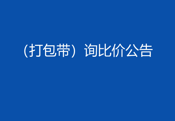 珠海經(jīng)濟(jì)特區(qū)龍獅瓶蓋有限公司采購包輔材料項(xiàng)目（打包帶）詢比價公告